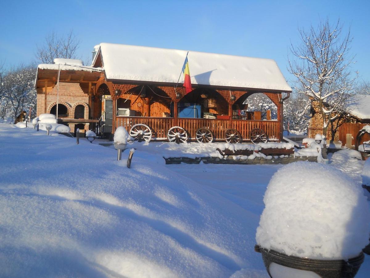 Sîmbăta de Sus 彭西尼亚罗纳蒙缇洛旅馆酒店 外观 照片