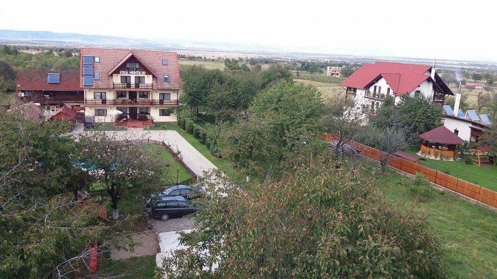 Sîmbăta de Sus 彭西尼亚罗纳蒙缇洛旅馆酒店 外观 照片
